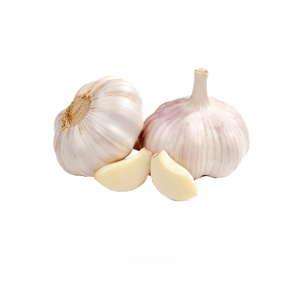 58AFYV004_1 58AFYV004_1