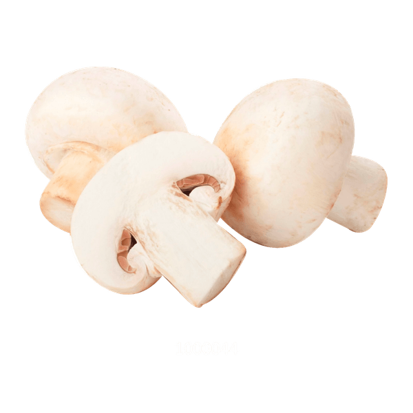 58AFYV050_1 58AFYV050_1