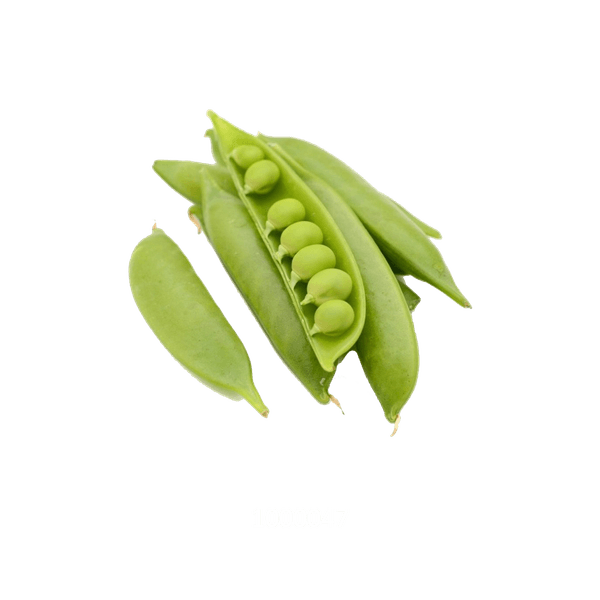 58AFYV053_1 58AFYV053_1