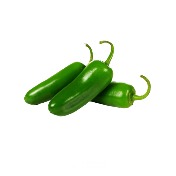 58AFYV056_1 58AFYV056_1