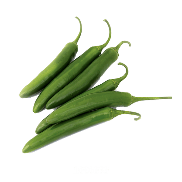 58AFYV067_1 58AFYV067_1