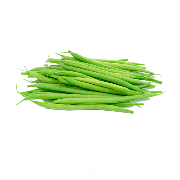 58AFYV073_1 58AFYV073_1