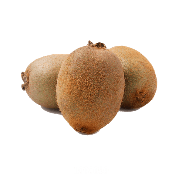 58AFYV098_1 58AFYV098_1