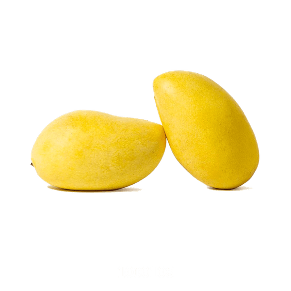 58AFYV116_1 58AFYV116_1