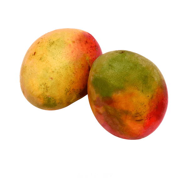 58AFYV118_1 58AFYV118_1