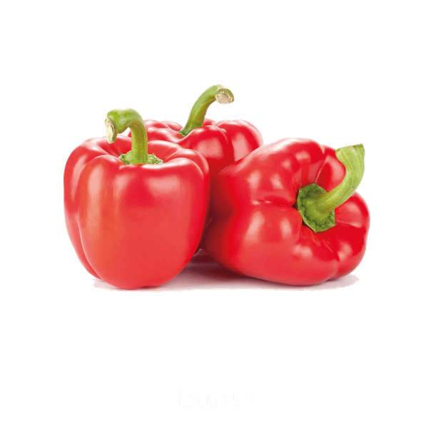 58AFYV160_1 58AFYV160_1