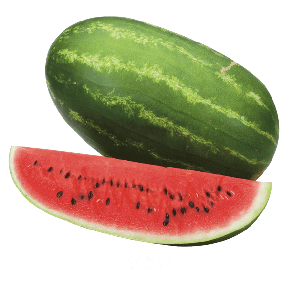 58AFYV178_1 58AFYV178_1