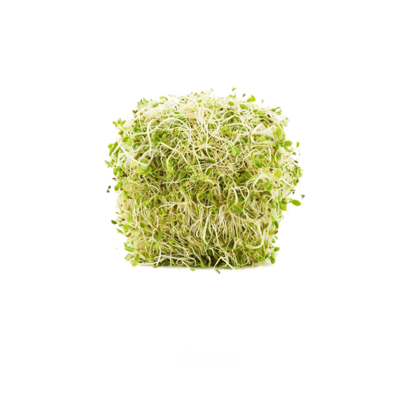 58AFYV236_1 58AFYV236_1