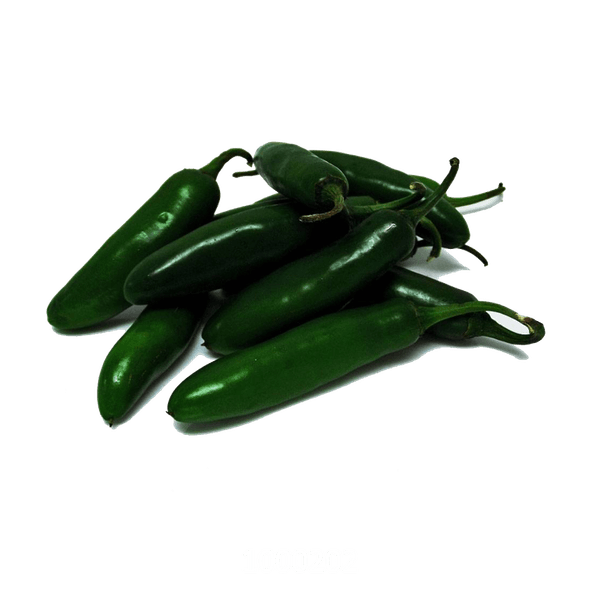 58AFYV241_1 58AFYV241_1