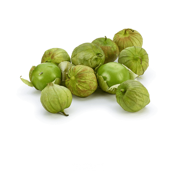 58AFYV339_1 58AFYV339_1