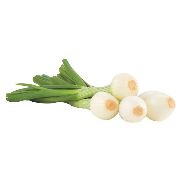 58AFYV030_1 58AFYV030_1