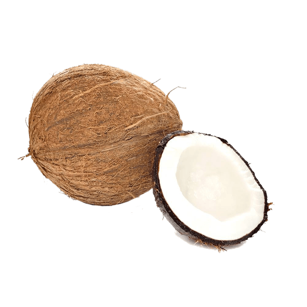 58AFYV042_1 58AFYV042_1