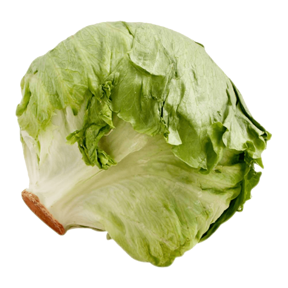 lechuga romana pieza - lagranbodega