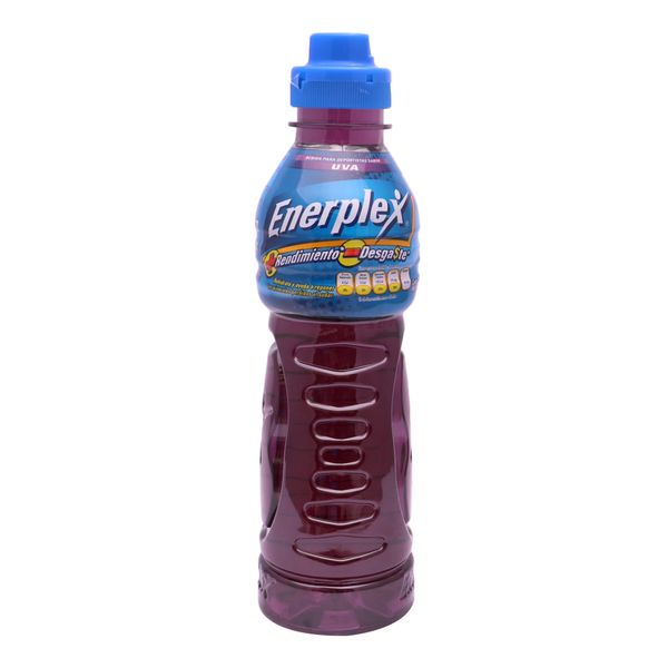 29CENE006_2 29CENE006_2