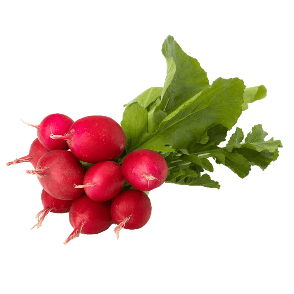 58AFYV243_1 58AFYV243_1