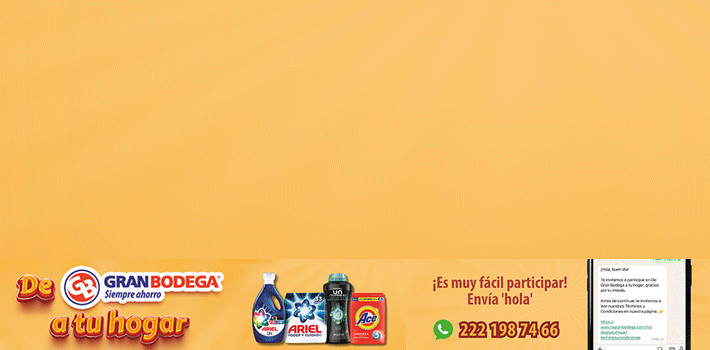 Banner Principal mobile