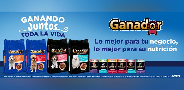 Banner Mobile 04_Mochila_Kinder